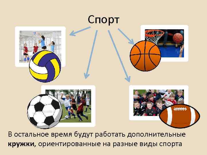 Спорт В остальное время будут работать дополнительные кружки, ориентированные на разные виды спорта 