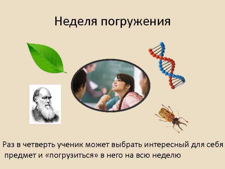 Неделя погружения Раз в четверть ученик может выбрать интересный для себя предмет и «погрузиться»