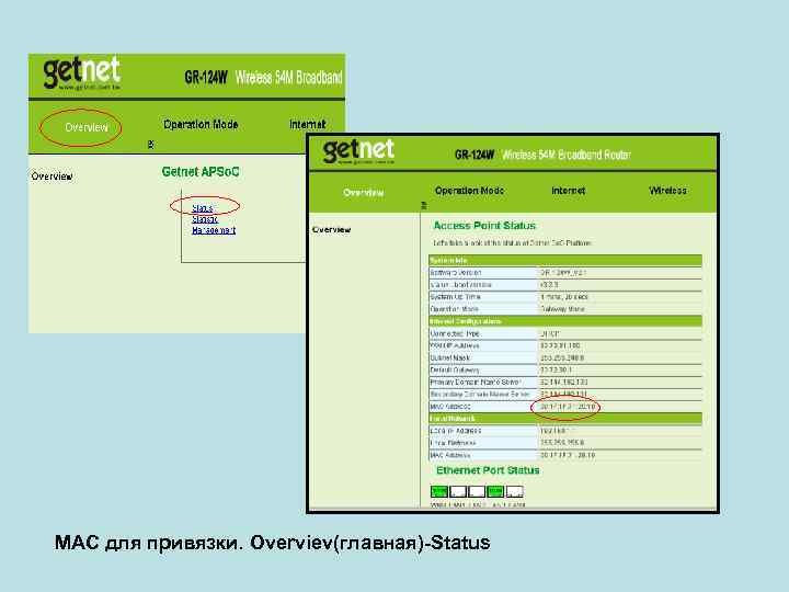 МАС для привязки. Overviev(главная)-Status 
