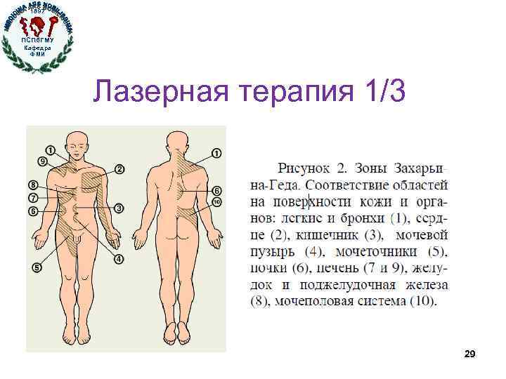 1897 ПСПб. ГМУ Кафедра ФМИ Лазерная терапия 1/3 29 
