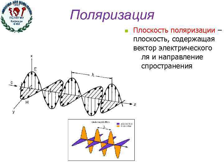 Плоскость поляризации. Поле плоскости. Плокостьсть полязиции. Плоскость поляризации света.