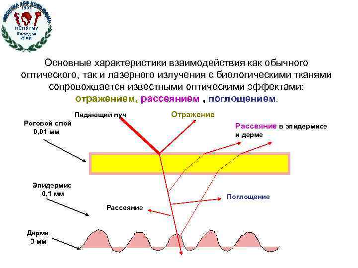 1897 ПСПб. ГМУ Кафедра ФМИ Основные характеристики взаимодействия как обычного оптического, так и лазерного