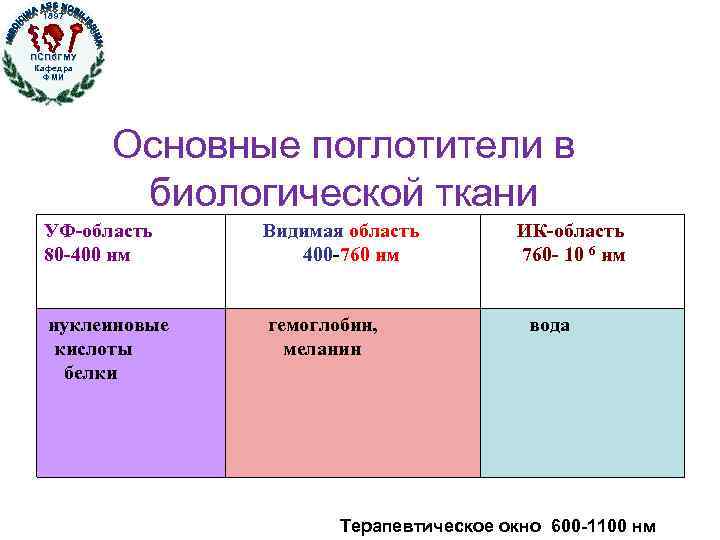 1897 ПСПб. ГМУ Кафедра ФМИ Основные поглотители в биологической ткани УФ-область 80 -400 нм