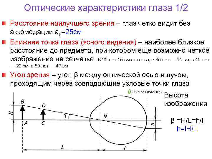 Исследование аккомодации зрения проект