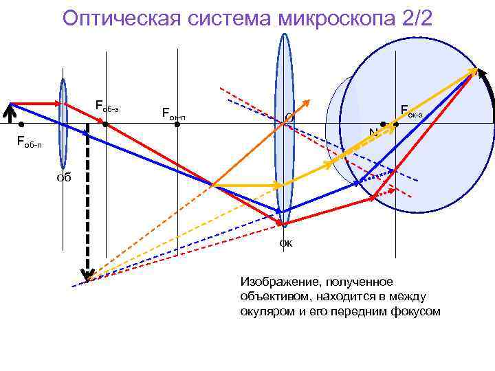 Получение изображения в микроскопе система объектив окуляр