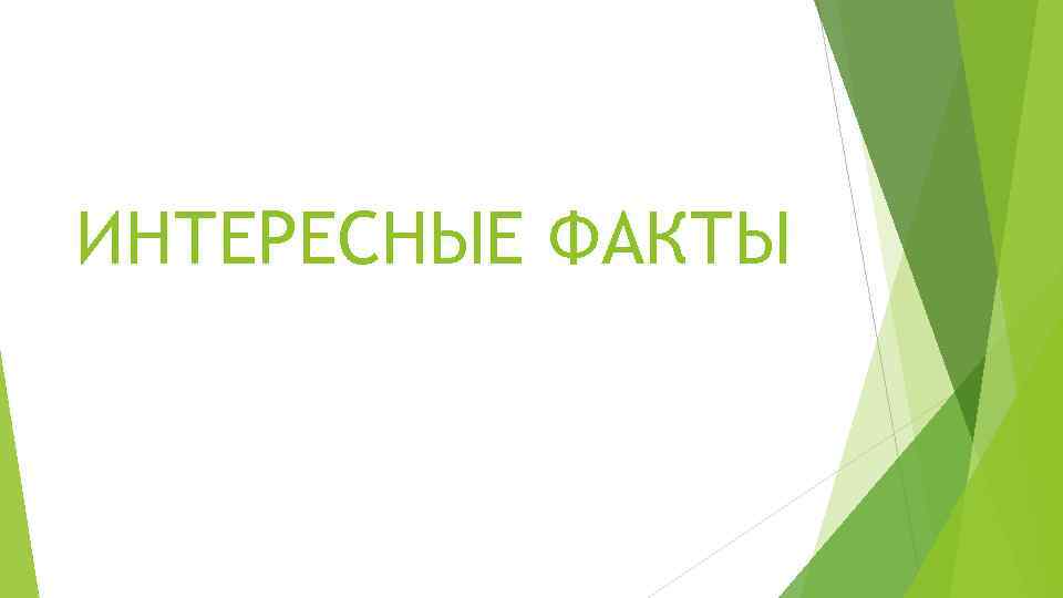 ИНТЕРЕСНЫЕ ФАКТЫ 