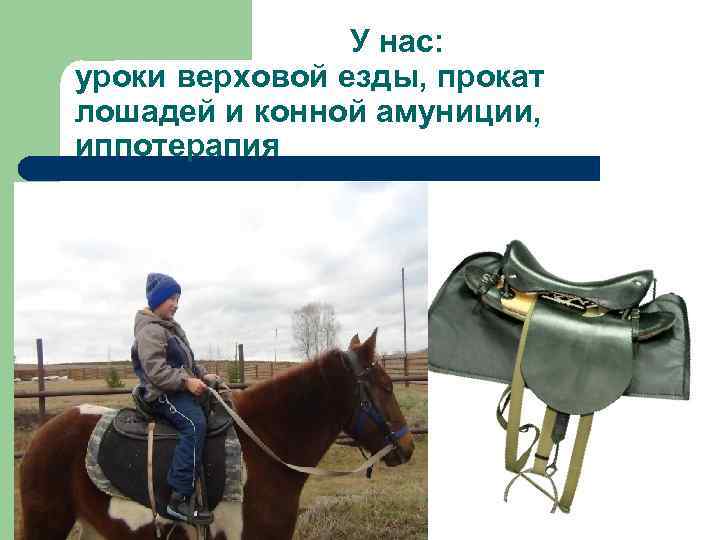 У нас: уроки верховой езды, прокат лошадей и конной амуниции, иппотерапия 