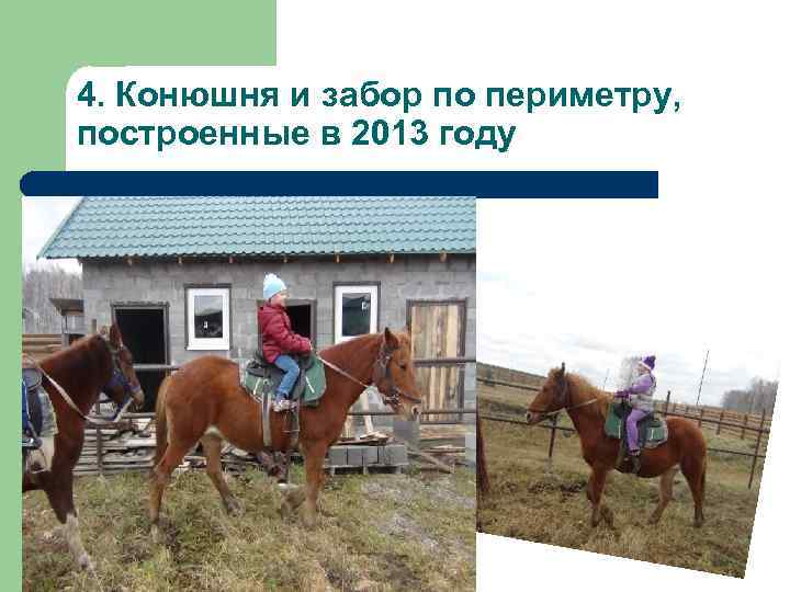 4. Конюшня и забор по периметру, построенные в 2013 году 