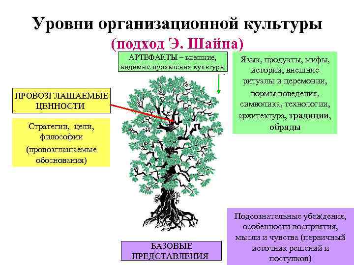 Уровни организационной культуры (подход Э. Шайна) АРТЕФАКТЫ – внешние, видимые проявления культуры ПРОВОЗГЛАШАЕМЫЕ ЦЕННОСТИ