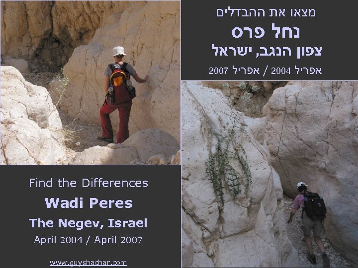  מצאו את ההבדלים נחל פרס צפון הנגב, ישראל 2007 Find the Differences Wadi