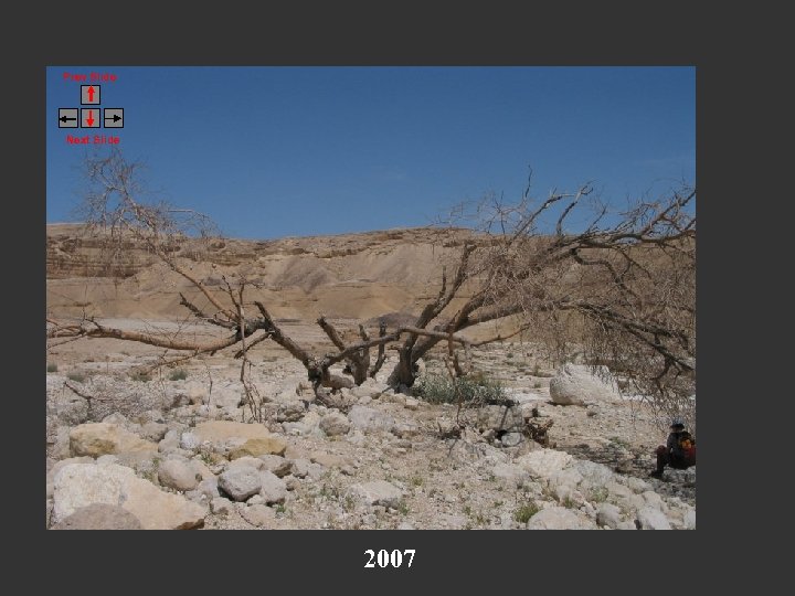 Prev Slide Next Slide 2007 