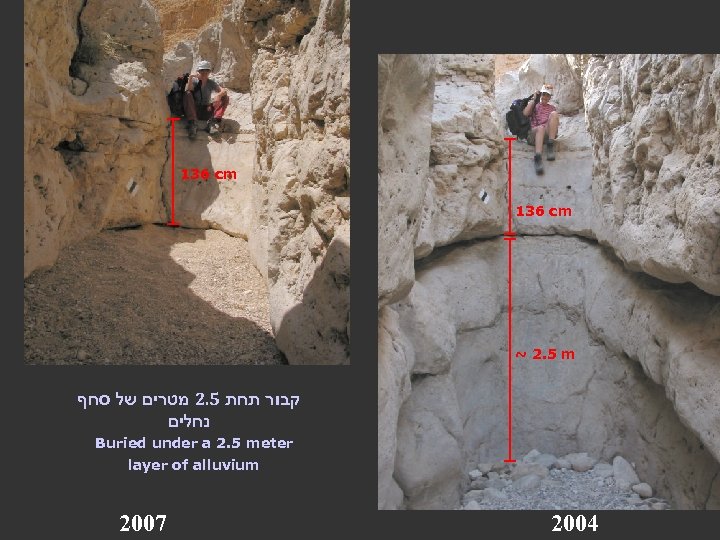 136 cm ~ 2. 5 m קבור תחת 5. 2 מטרים של סחף נחלים
