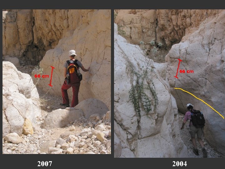 66 cm 2007 66 cm 2004 