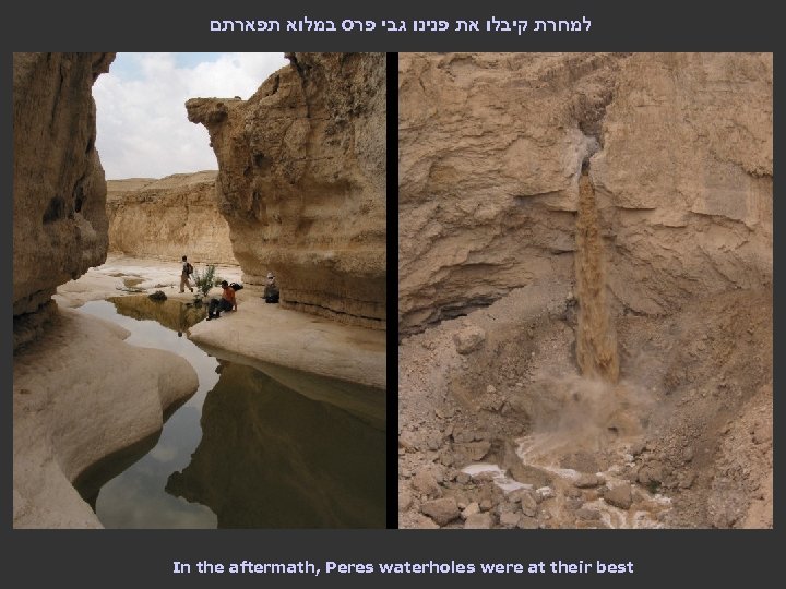  למחרת קיבלו את פנינו גבי פרס במלוא תפארתם In the aftermath, Peres waterholes