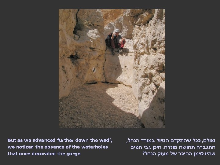 But as we advanced further down the wadi, we noticed the absence of the