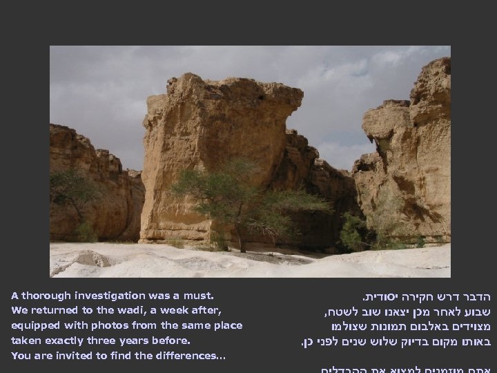 A thorough investigation was a must. We returned to the wadi, a week after,