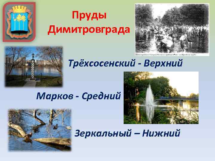 Пруды Димитровграда Трёхсосенский - Верхний Марков - Средний Зеркальный – Нижний 