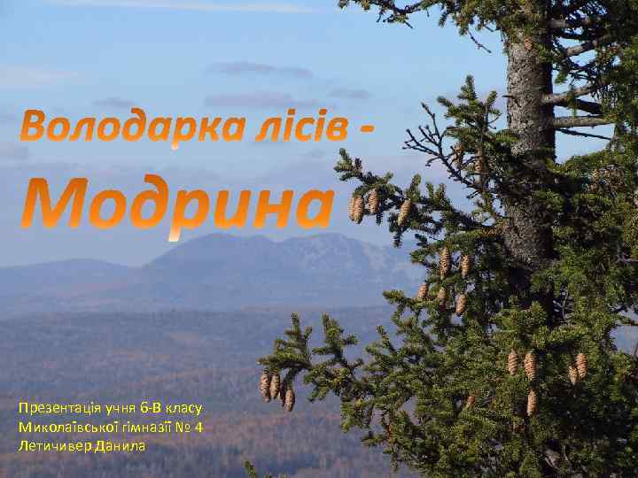 Презентація учня 6 -В класу Миколаївської гімназії № 4 Летичивер Данила 