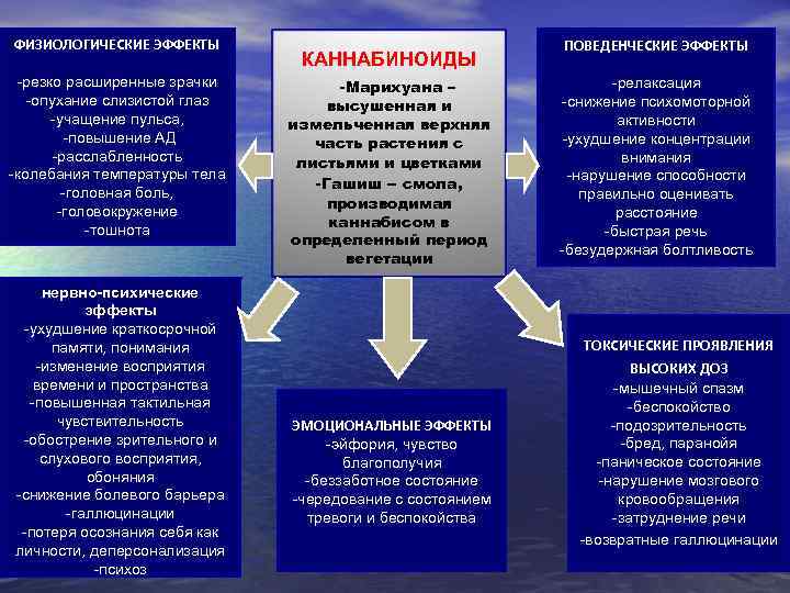 ФИЗИОЛОГИЧЕСКИЕ ЭФФЕКТЫ -резко расширенные зрачки -опухание слизистой глаз -учащение пульса, -повышение АД -расслабленность -колебания