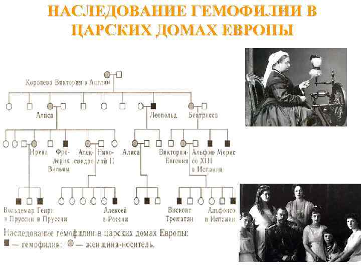 НАСЛЕДОВАНИЕ ГЕМОФИЛИИ В ЦАРСКИХ ДОМАХ ЕВРОПЫ 