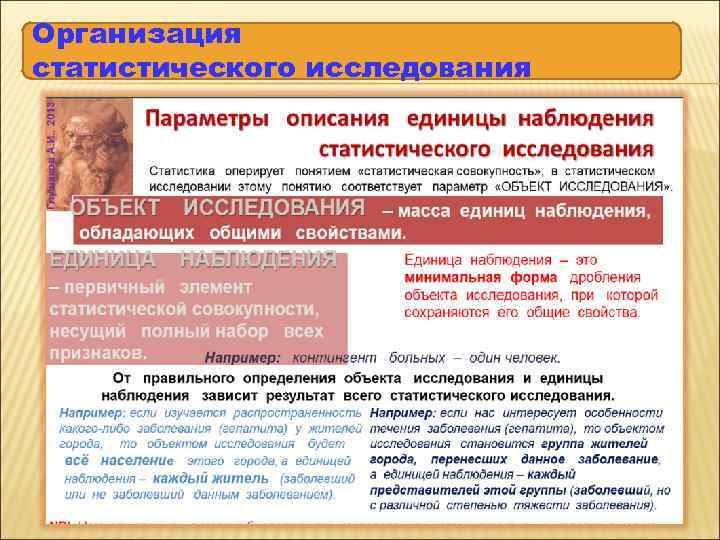 Организация статистического исследования 