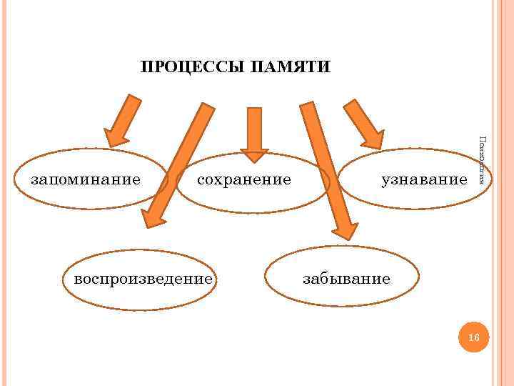 ПРОЦЕССЫ ПАМЯТИ сохранение воспроизведение узнавание Психология запоминание забывание 16 