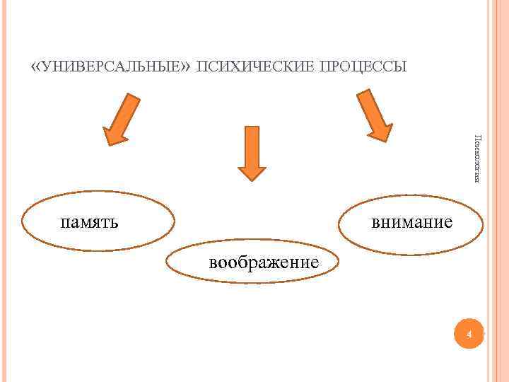  «УНИВЕРСАЛЬНЫЕ» ПСИХИЧЕСКИЕ ПРОЦЕССЫ Психология память внимание воображение 4 