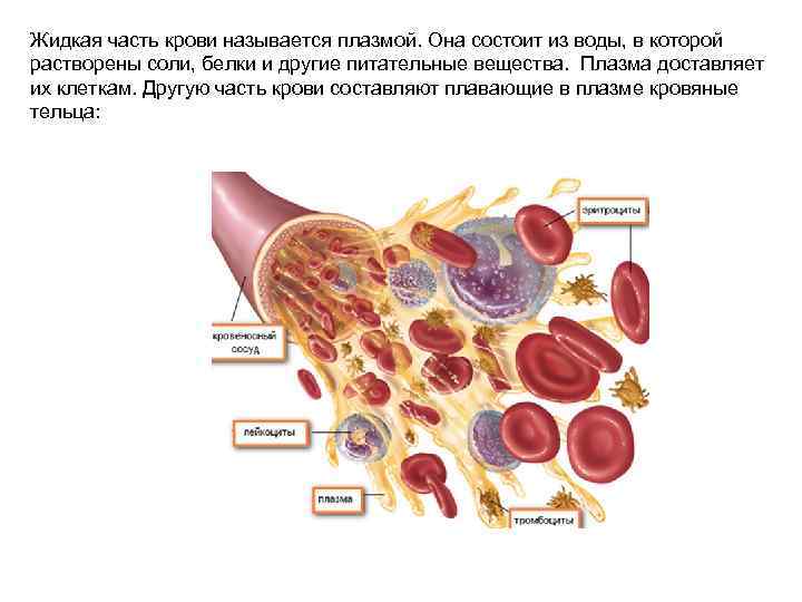 Как называется боязнь машин