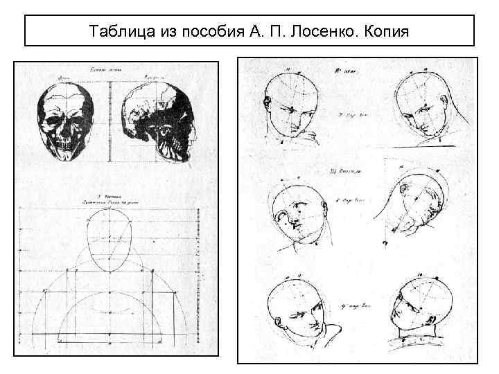 Таблица из пособия А. П. Лосенко. Копия 