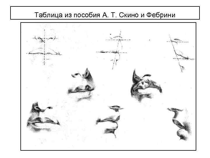 Таблица из пособия А. Т. Скино и Фебрини 