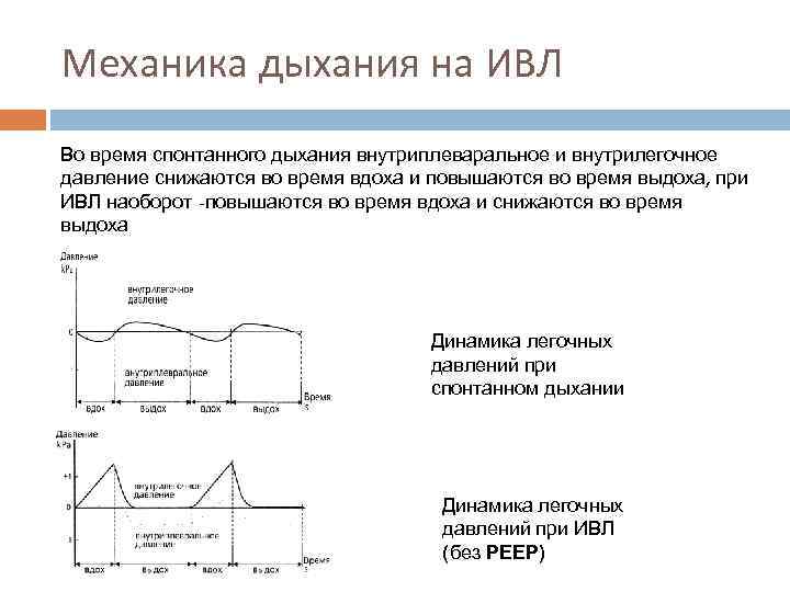 Механика дыхания на ИВЛ Во время спонтанного дыхания внутриплеваральное и внутрилегочное давление снижаются во