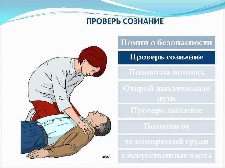 ПРОВЕРЬ СОЗНАНИЕ Помни о безопасности Проверь сознание Позови на помощь Открой дыхательные пути Проверь