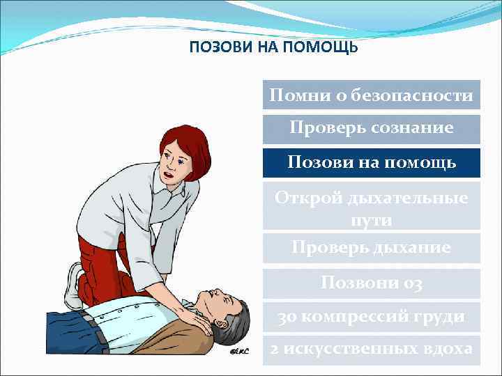 ПОЗОВИ НА ПОМОЩЬ Помни о безопасности Проверь сознание Позови на помощь Открой дыхательные пути