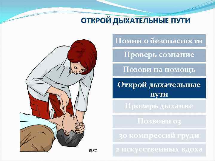 ОТКРОЙ ДЫХАТЕЛЬНЫЕ ПУТИ Помни о безопасности Проверь сознание Позови на помощь Открой дыхательные пути