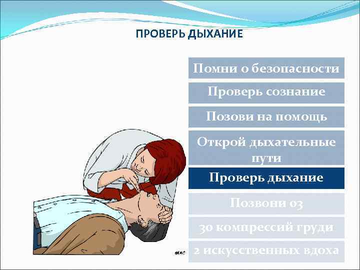 ПРОВЕРЬ ДЫХАНИЕ Помни о безопасности Проверь сознание Позови на помощь Открой дыхательные пути Проверь