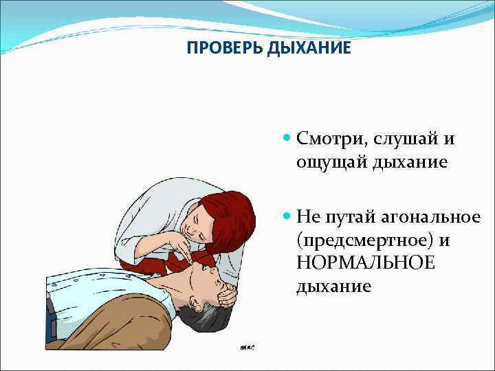 ПРОВЕРЬ ДЫХАНИЕ Смотри, слушай и ощущай дыхание Не путай агональное (предсмертное) и НОРМАЛЬНОЕ дыхание