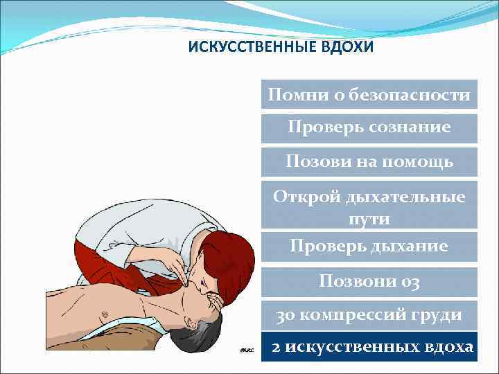 ИСКУССТВЕННЫЕ ВДОХИ Помни о безопасности Проверь сознание Позови на помощь Открой дыхательные пути Проверь