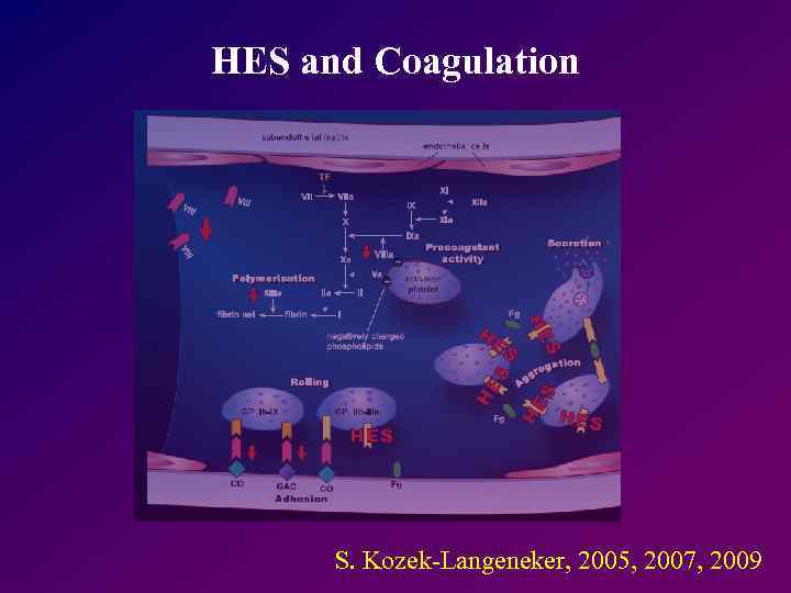 HES and Coagulation S. Kozek-Langeneker, 2005, 2007, 2009 