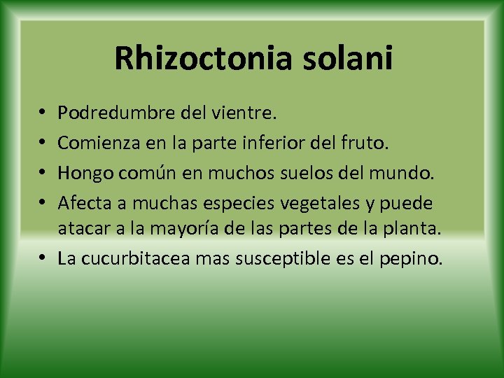 Rhizoctonia solani Podredumbre del vientre. Comienza en la parte inferior del fruto. Hongo común