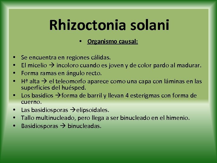 Rhizoctonia solani • Organismo causal: • • Se encuentra en regiones cálidas. El micelio