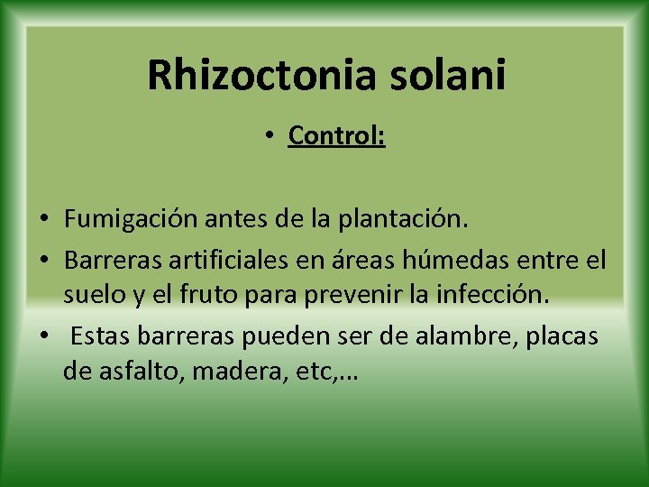 Rhizoctonia solani • Control: • Fumigación antes de la plantación. • Barreras artificiales en