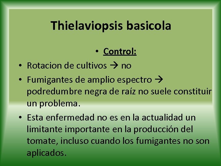 Thielaviopsis basicola • Control: • Rotacion de cultivos no • Fumigantes de amplio espectro