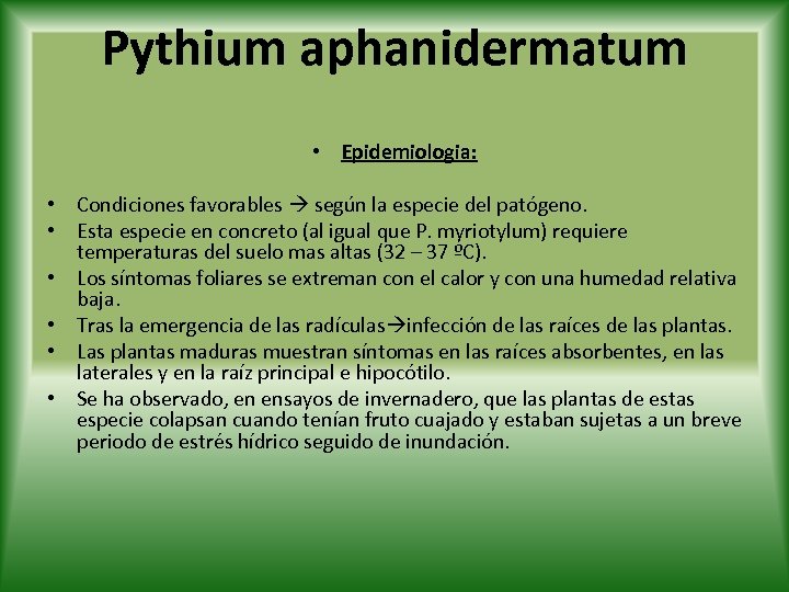 Pythium aphanidermatum • Epidemiologia: • Condiciones favorables según la especie del patógeno. • Esta