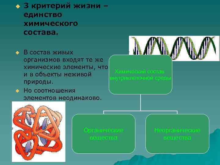 u u u 3 критерий жизни – единство химического состава. В состав живых организмов
