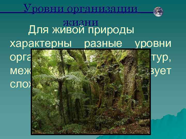 Уровни организации жизни Для живой природы характерны разные уровни организации её структур, между которыми