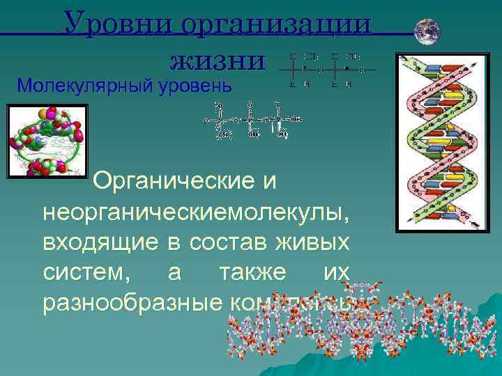 Молекулярный уровень жизни значение и роль в природе презентация 11 класс