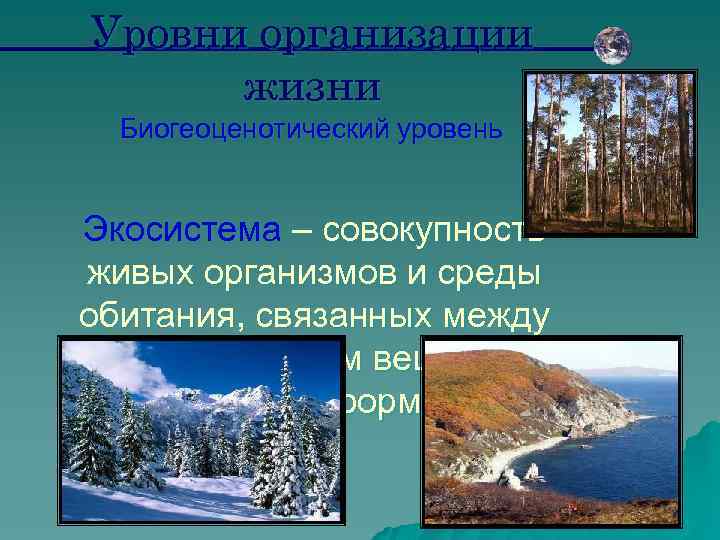 Уровни организации жизни Биогеоценотический уровень Экосистема – совокупность живых организмов и среды обитания, связанных