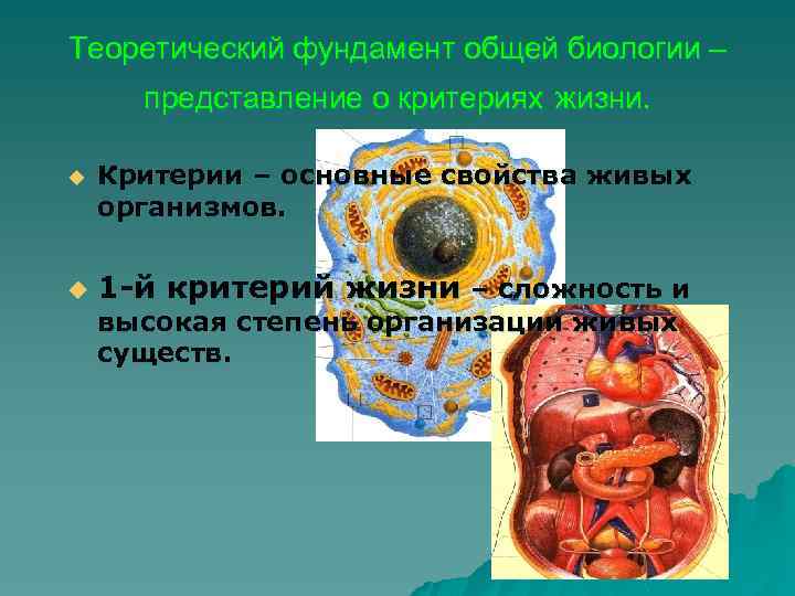 Теоретический фундамент общей биологии – представление о критериях жизни. u u Критерии – основные