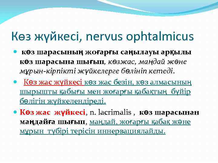 Көз жүйкесі, nervus ophtalmicus көз шарасының жоғарғы саңылауы арқылы көз шарасына шығып, көзжас, маңдай