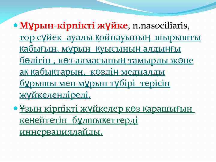  Мұрын-кірпікті жүйке, n. nasociliaris, тор сүйек ауалы қойнауының шырышты қабығын, мұрын қуысының алдыңғы